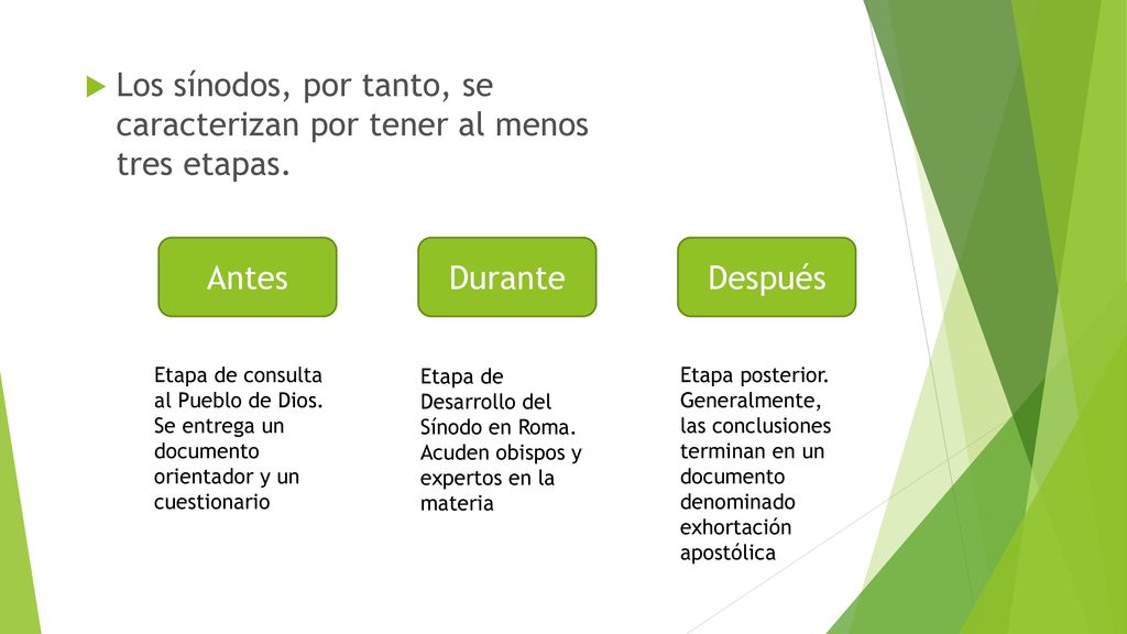 Los sínodos, por tanto, se caracterizan por tener al menos tres etapas.