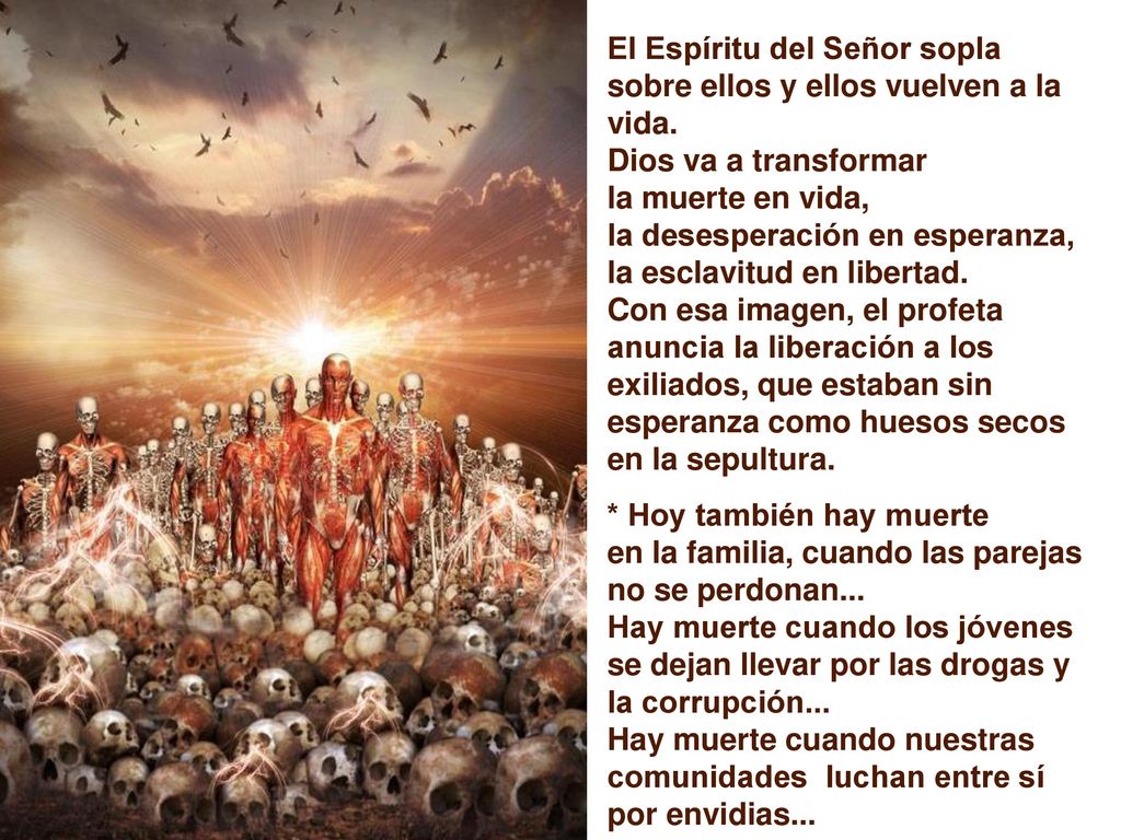 El Espíritu del Señor sopla sobre ellos y ellos vuelven a la vida.