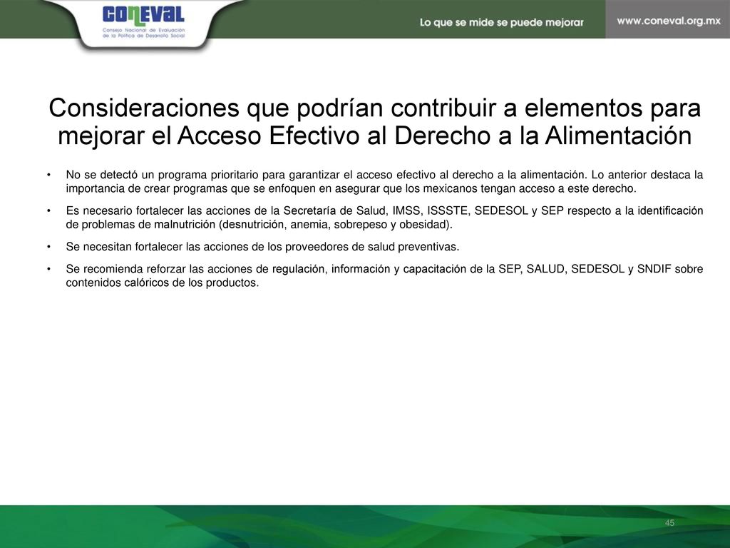 Consideraciones que podrían contribuir a elementos para mejorar el Acceso Efectivo al Derecho a la Alimentación