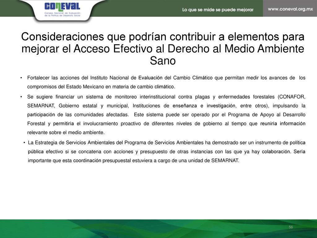 Consideraciones que podrían contribuir a elementos para mejorar el Acceso Efectivo al Derecho al Medio Ambiente Sano