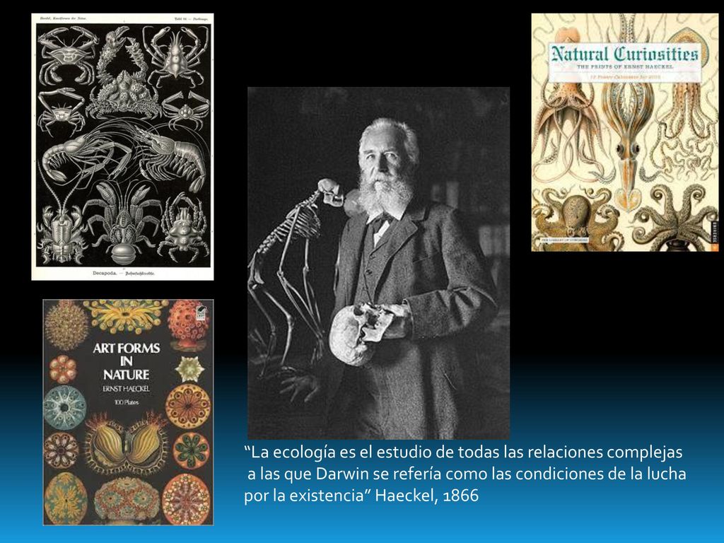 La ecología es el estudio de todas las relaciones complejas