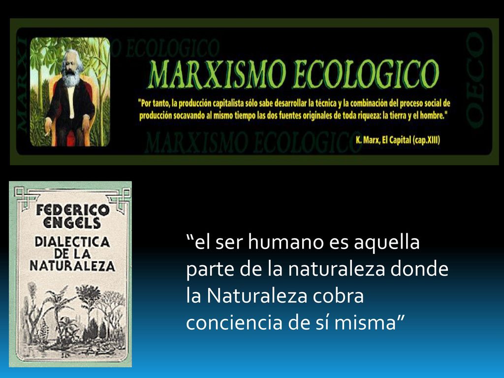 el ser humano es aquella parte de la naturaleza donde la Naturaleza cobra conciencia de sí misma