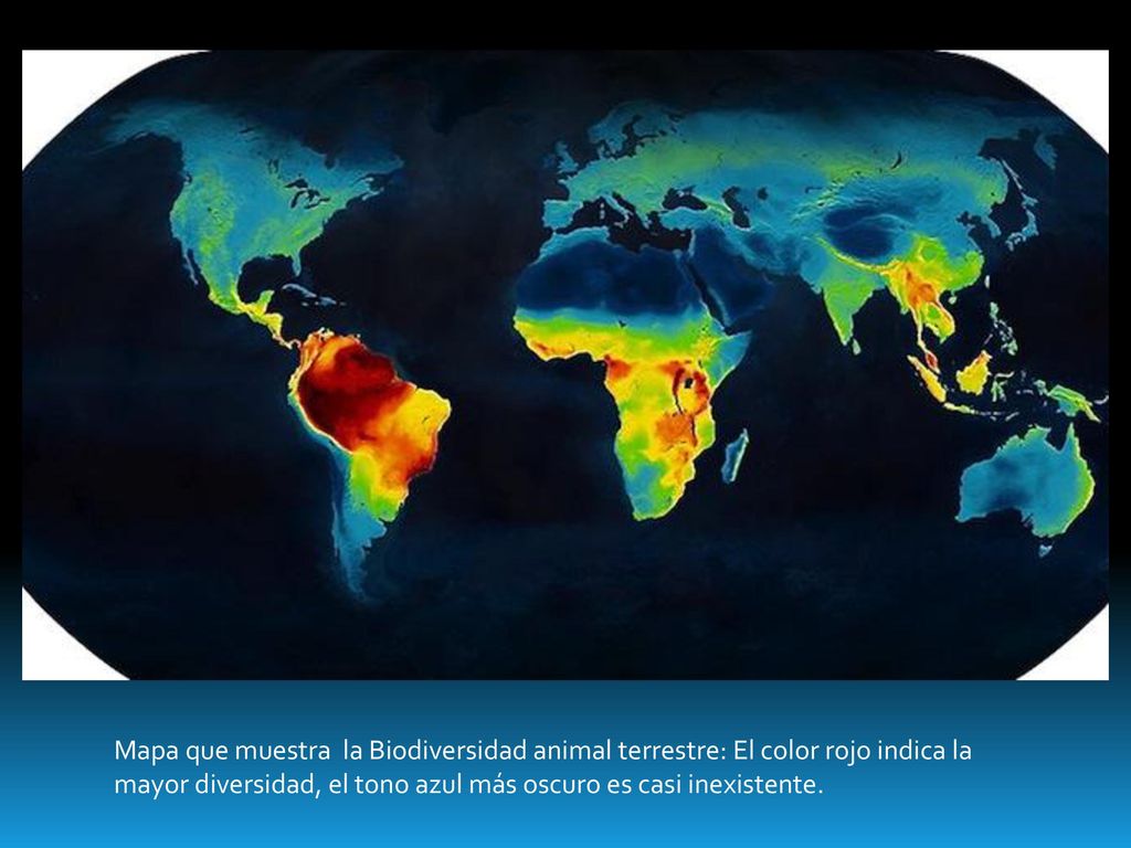 Mapa que muestra la Biodiversidad animal terrestre: El color rojo indica la mayor diversidad, el tono azul más oscuro es casi inexistente.