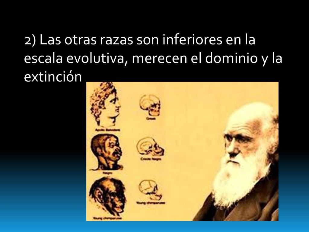 2) Las otras razas son inferiores en la escala evolutiva, merecen el dominio y la extinción