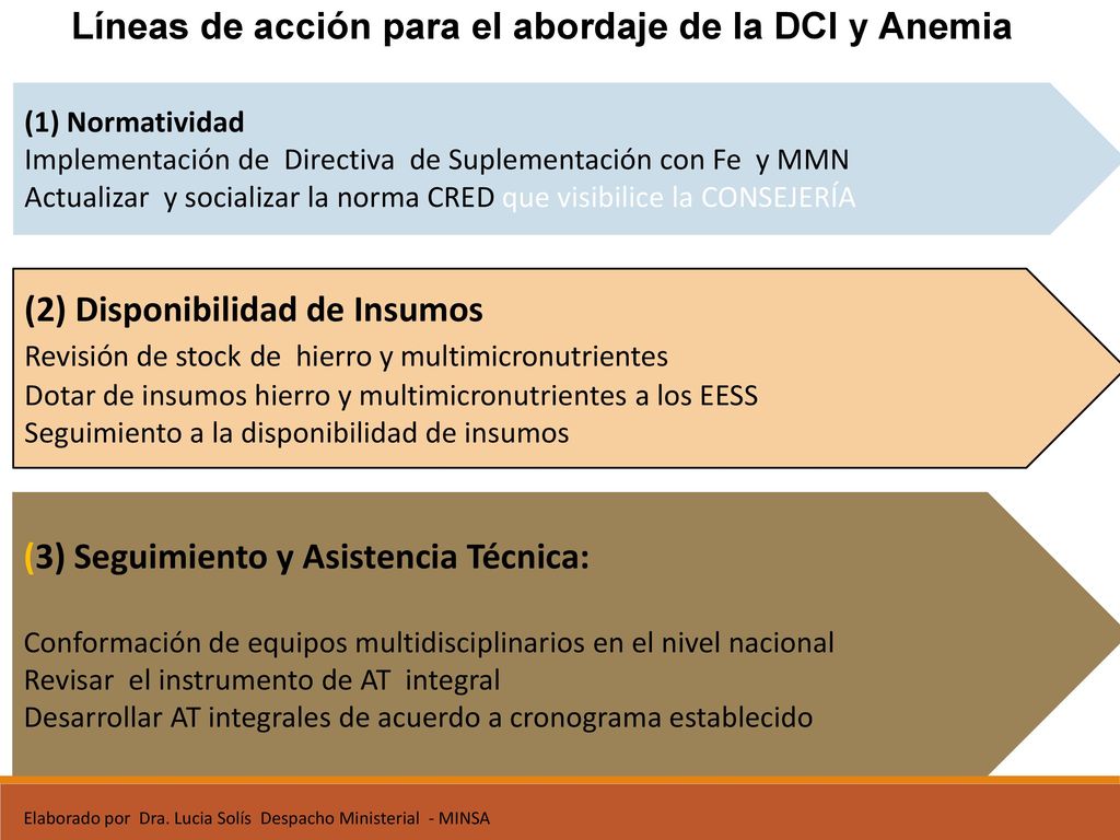 Líneas de acción para el abordaje de la DCI y Anemia