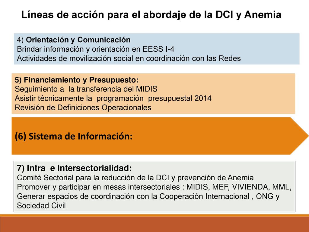 Líneas de acción para el abordaje de la DCI y Anemia