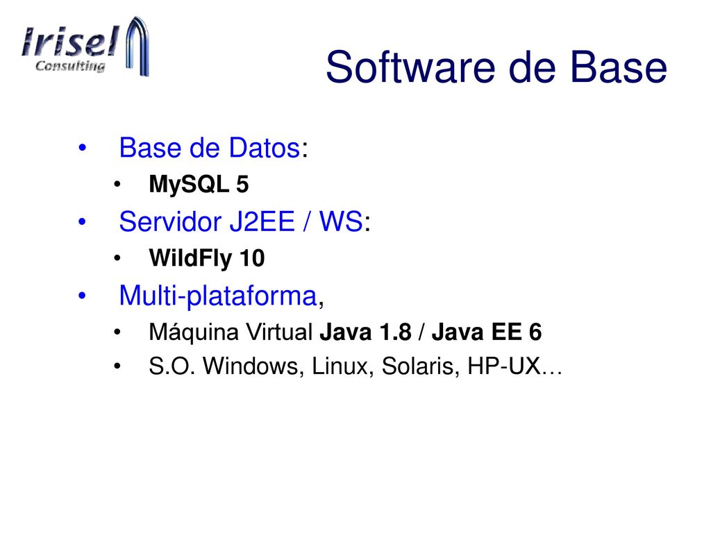 Software de Base Base de Datos: Servidor J2EE / WS: Multi-plataforma,
