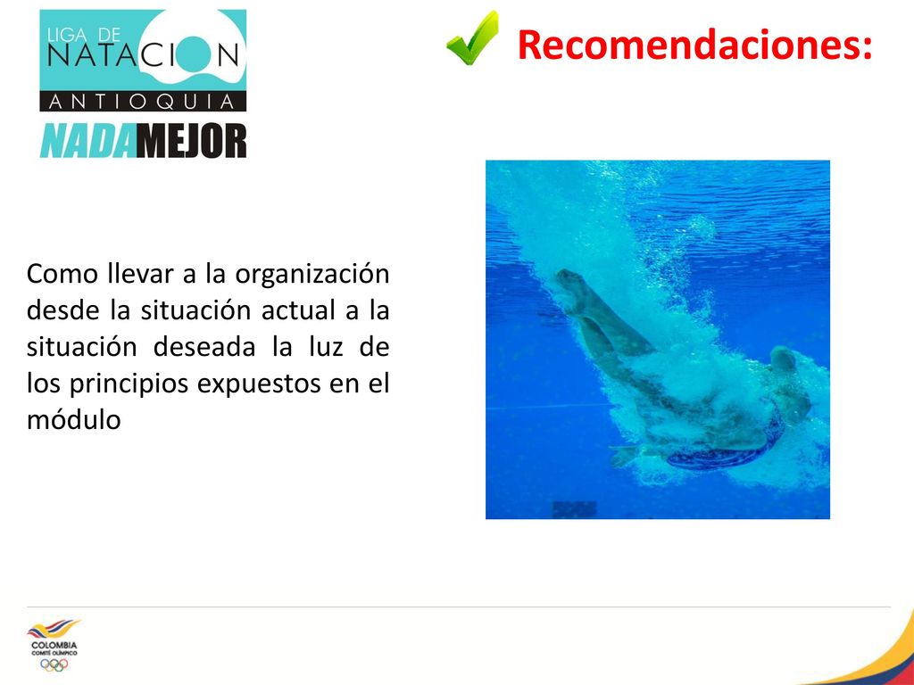 Recomendaciones: Como llevar a la organización desde la situación actual a la situación deseada la luz de los principios expuestos en el módulo.