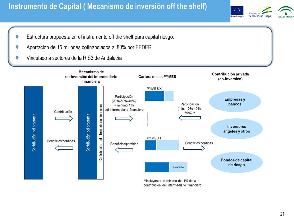 Instrumento de Capital ( Mecanismo de inversión off the shelf)