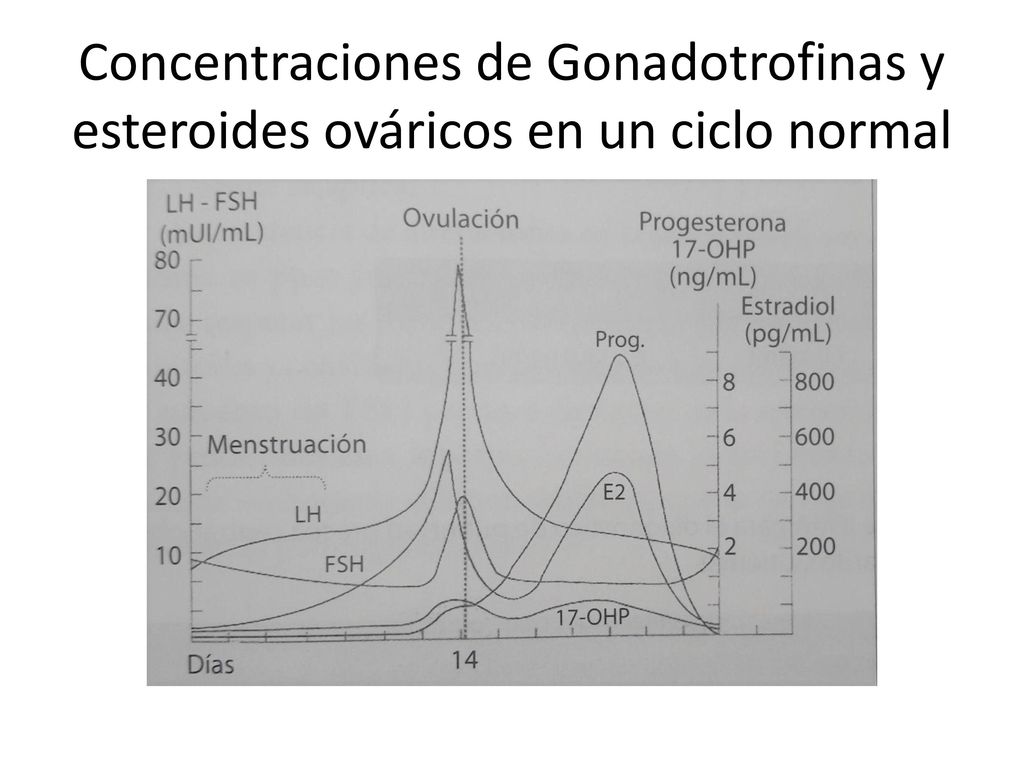 Concentraciones de Gonadotrofinas y esteroides ováricos en un ciclo normal