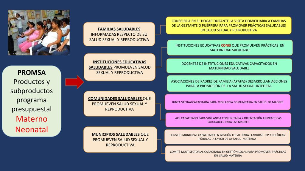PROMSA Productos y subproductos programa presupuestal Materno Neonatal