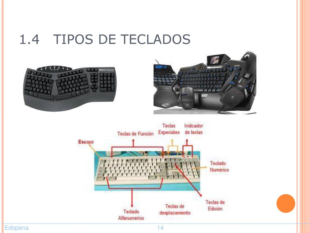 1.4 TIPOS DE TECLADOS Edopena 14.