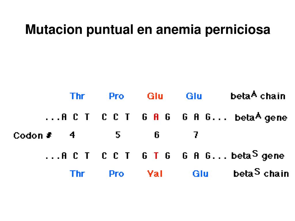 TTT Phe (F) TTC TTA Leu (L) TTG TCT Ser (S) TCC TCA TCG