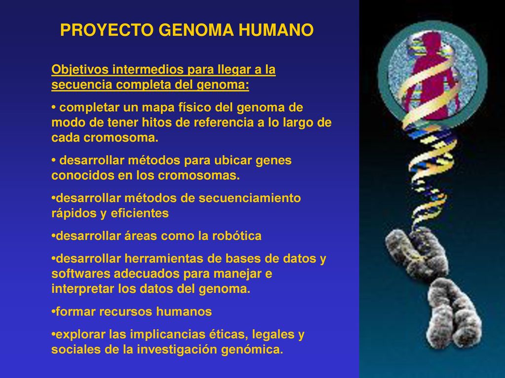 Febrero 2001: se publica la secuencia completa del genoma humano