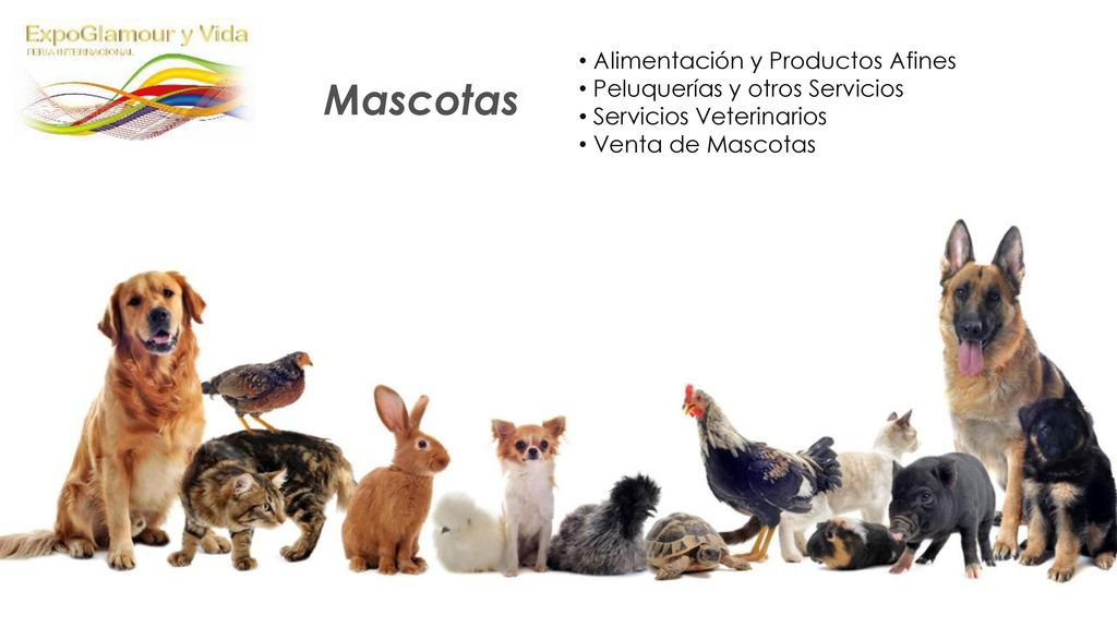 Mascotas Alimentación y Productos Afines Peluquerías y otros Servicios