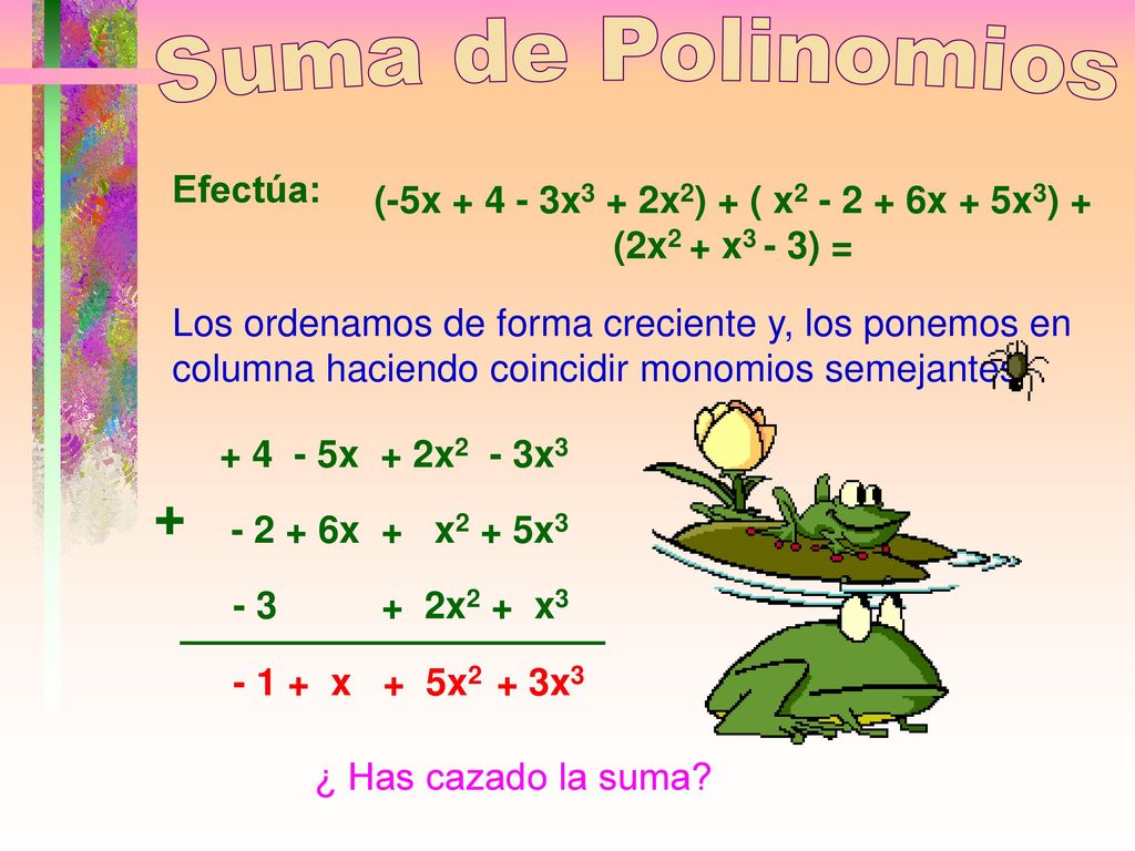 (-5x x3 + 2x2) + ( x x + 5x3) + (2x2 + x3 - 3) =