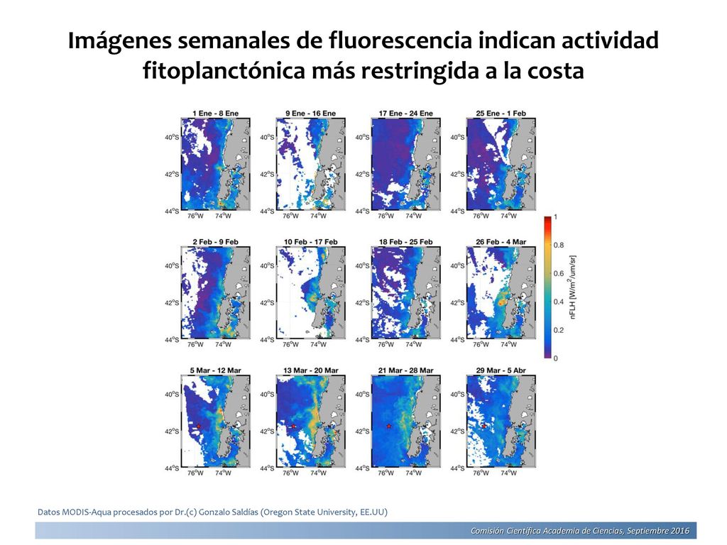 Imágenes semanales de fluorescencia indican actividad fitoplanctónica más restringida a la costa