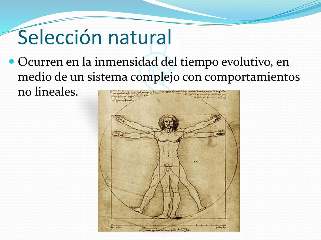 Selección natural Ocurren en la inmensidad del tiempo evolutivo, en medio de un sistema complejo con comportamientos no lineales.