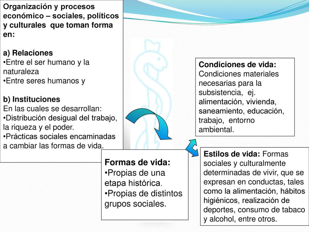 Propias de una etapa histórica. Propias de distintos grupos sociales.