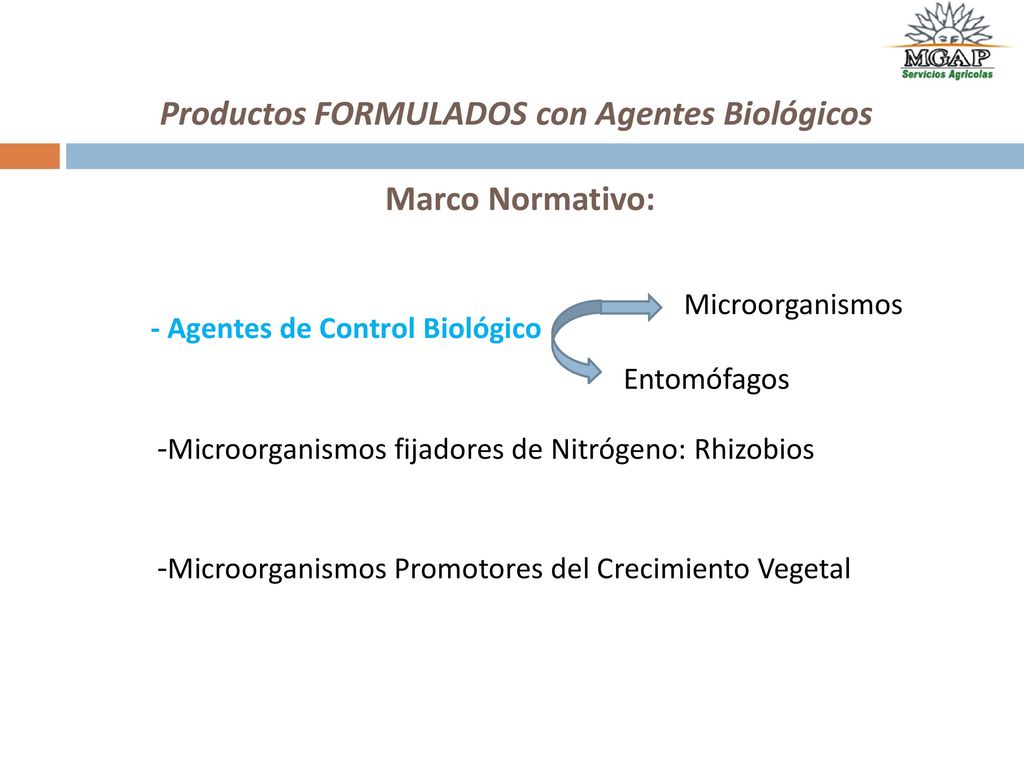 Productos FORMULADOS con Agentes Biológicos Marco Normativo: