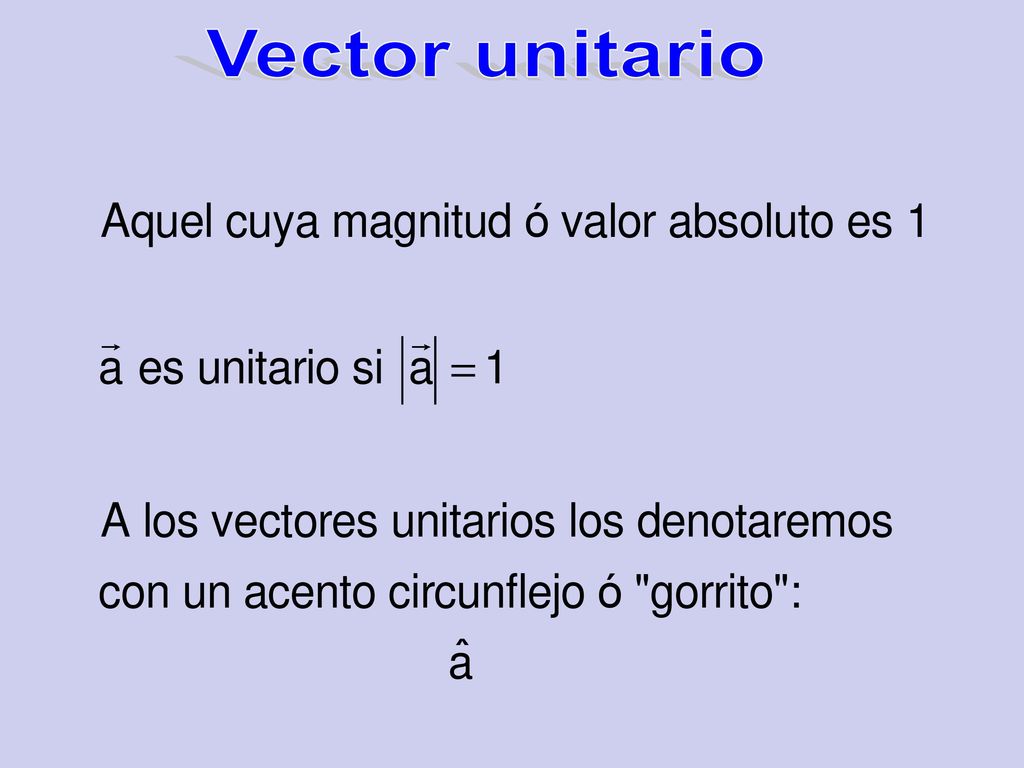 Vector unitario