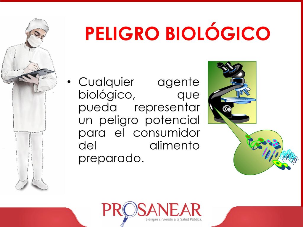 PELIGRO BIOLÓGICO Cualquier agente biológico, que pueda representar un peligro potencial para el consumidor del alimento preparado.