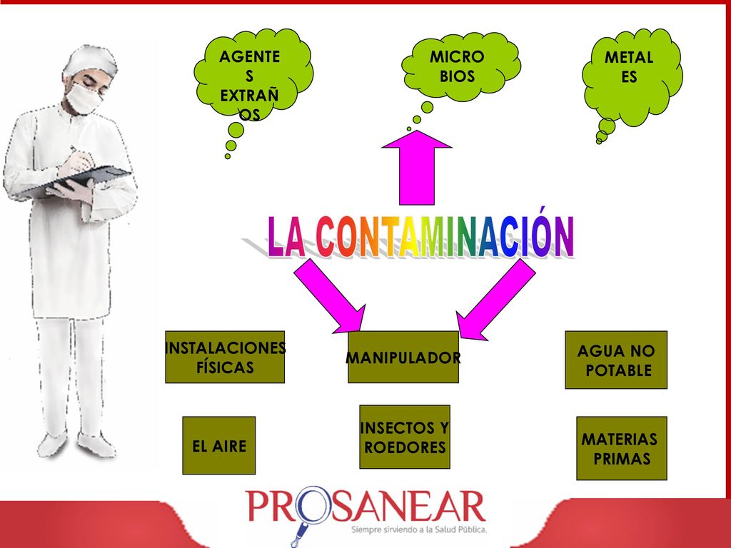 AGENTES EXTRAÑOS. MICROBIOS. METALES. LA CONTAMINACIÓN. INSTALACIONES. FÍSICAS. MANIPULADOR. AGUA NO.