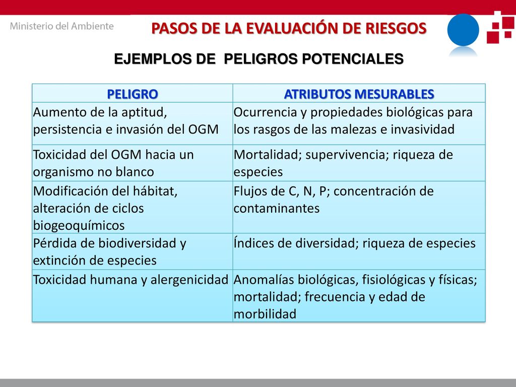 PASOS DE LA EVALUACIÓN DE RIESGOS EJEMPLOS DE PELIGROS POTENCIALES