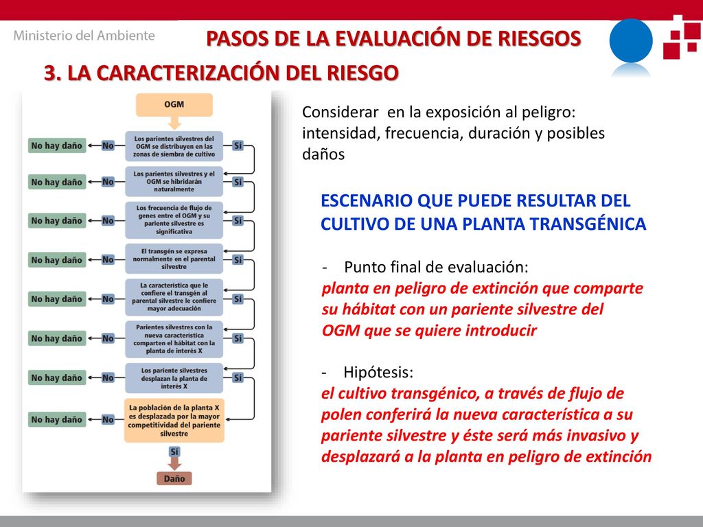 PASOS DE LA EVALUACIÓN DE RIESGOS 3. LA CARACTERIZACIÓN DEL RIESGO