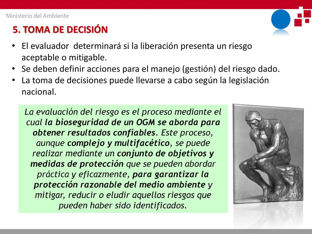 5. TOMA DE DECISIÓN El evaluador determinará si la liberación presenta un riesgo aceptable o mitigable.