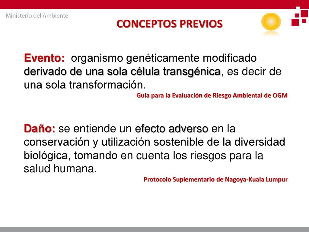 CONCEPTOS PREVIOS Evento: organismo genéticamente modificado derivado de una sola célula transgénica, es decir de una sola transformación.