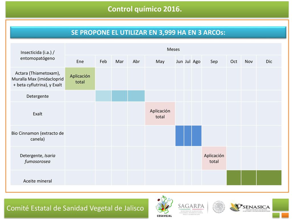 SE PROPONE EL UTILIZAR EN 3,999 HA EN 3 ARCOs: