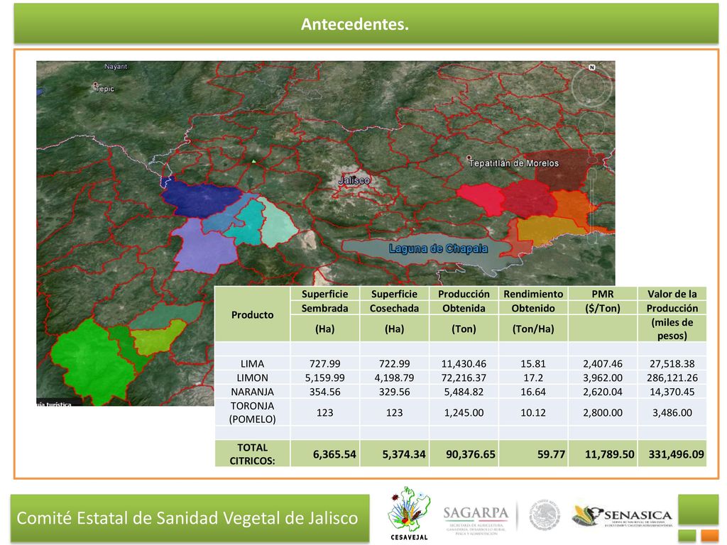 Antecedentes. Producto. Superficie. Producción. Rendimiento. PMR. Valor de la. Sembrada. Cosechada.