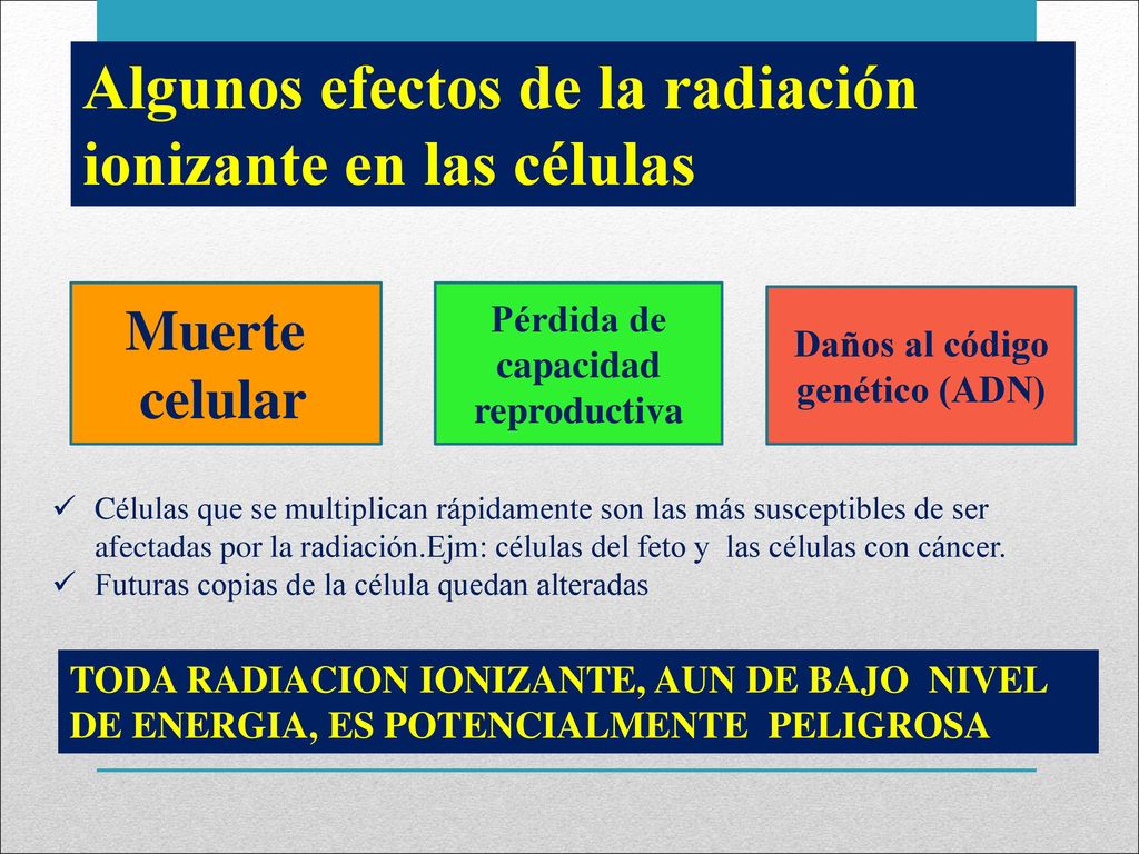 Pérdida de capacidad reproductiva Daños al código genético (ADN)