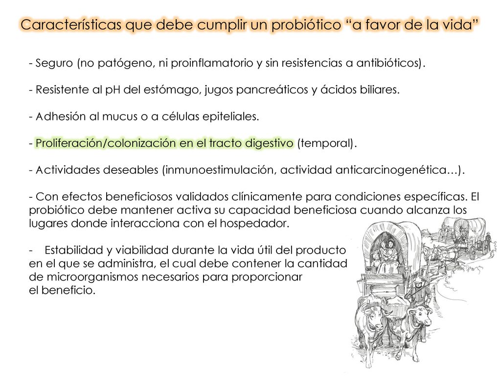 Características que debe cumplir un probiótico a favor de la vida