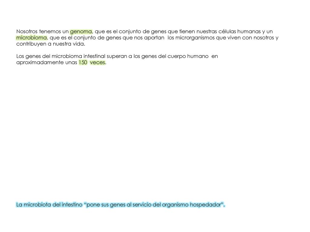 Nosotros tenemos un genoma, que es el conjunto de genes que tienen nuestras células humanas y un microbioma, que es el conjunto de genes que nos aportan los microrganismos que viven con nosotros y contribuyen a nuestra vida.