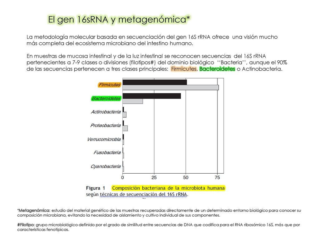 El gen 16sRNA y metagenómica*