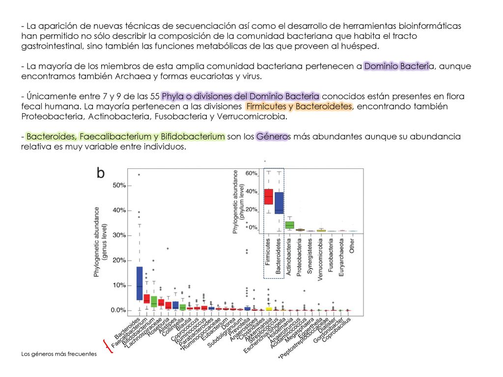 - La aparición de nuevas técnicas de secuenciación así como el desarrollo de herramientas bioinformáticas han permitido no sólo describir la composición de la comunidad bacteriana que habita el tracto gastrointestinal, sino también las funciones metabólicas de las que proveen al huésped.