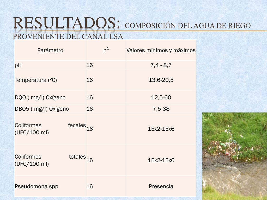 Resultados: Composición del agua de riego proveniente del canal LSA