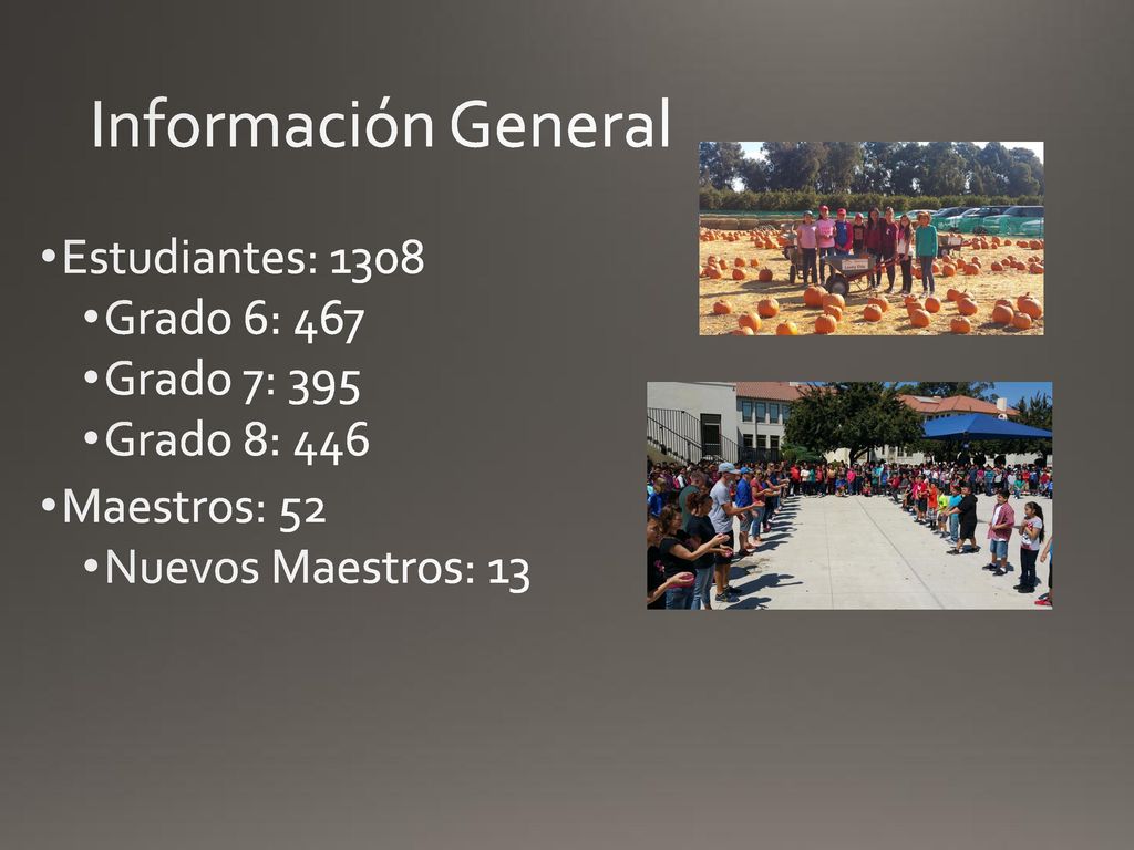 Información General Estudiantes: 1308 Grado 6: 467 Grado 7: 395