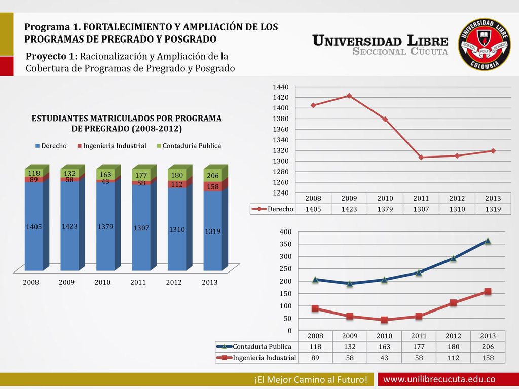 Programa 1. FORTALECIMIENTO Y AMPLIACIÓN DE LOS PROGRAMAS DE PREGRADO Y POSGRADO