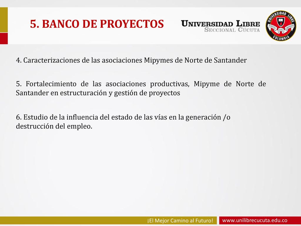5. BANCO DE PROYECTOS 4. Caracterizaciones de las asociaciones Mipymes de Norte de Santander.