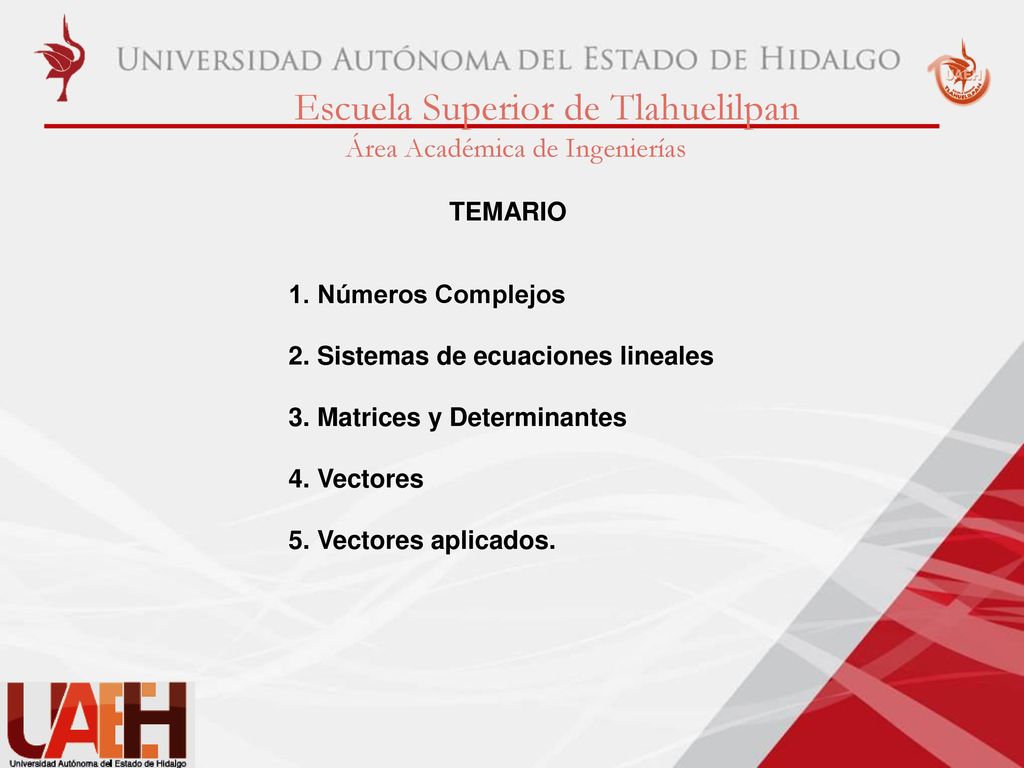 TEMARIO 1. Números Complejos. 2. Sistemas de ecuaciones lineales. 3. Matrices y Determinantes. 4. Vectores.