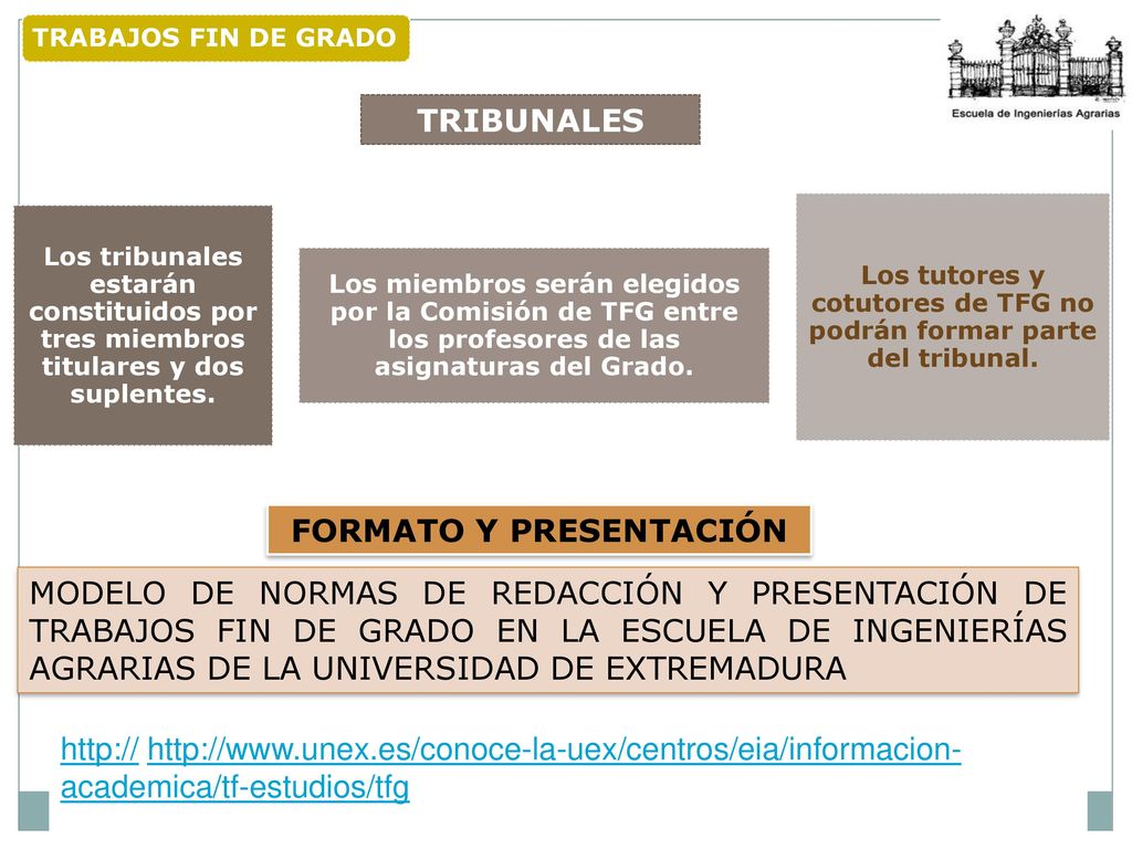 Los tutores y cotutores de TFG no podrán formar parte del tribunal.