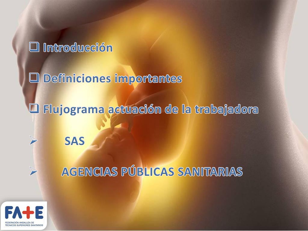 Introducción Definiciones importantes. Flujograma actuación de la trabajadora.