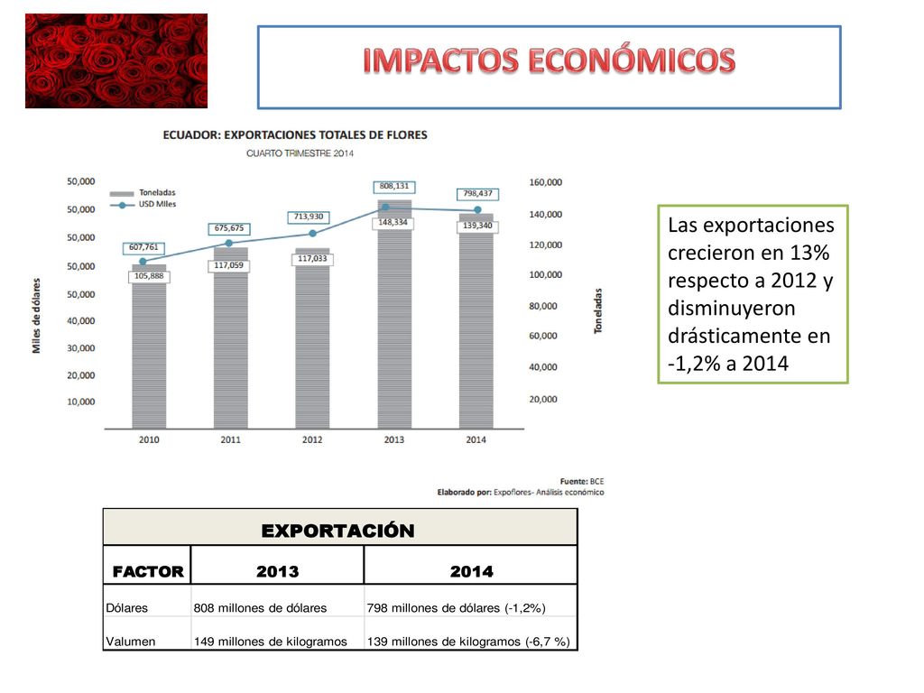IMPACTOS ECONÓMICOS Las exportaciones crecieron en 13% respecto a 2012 y disminuyeron drásticamente en -1,2% a