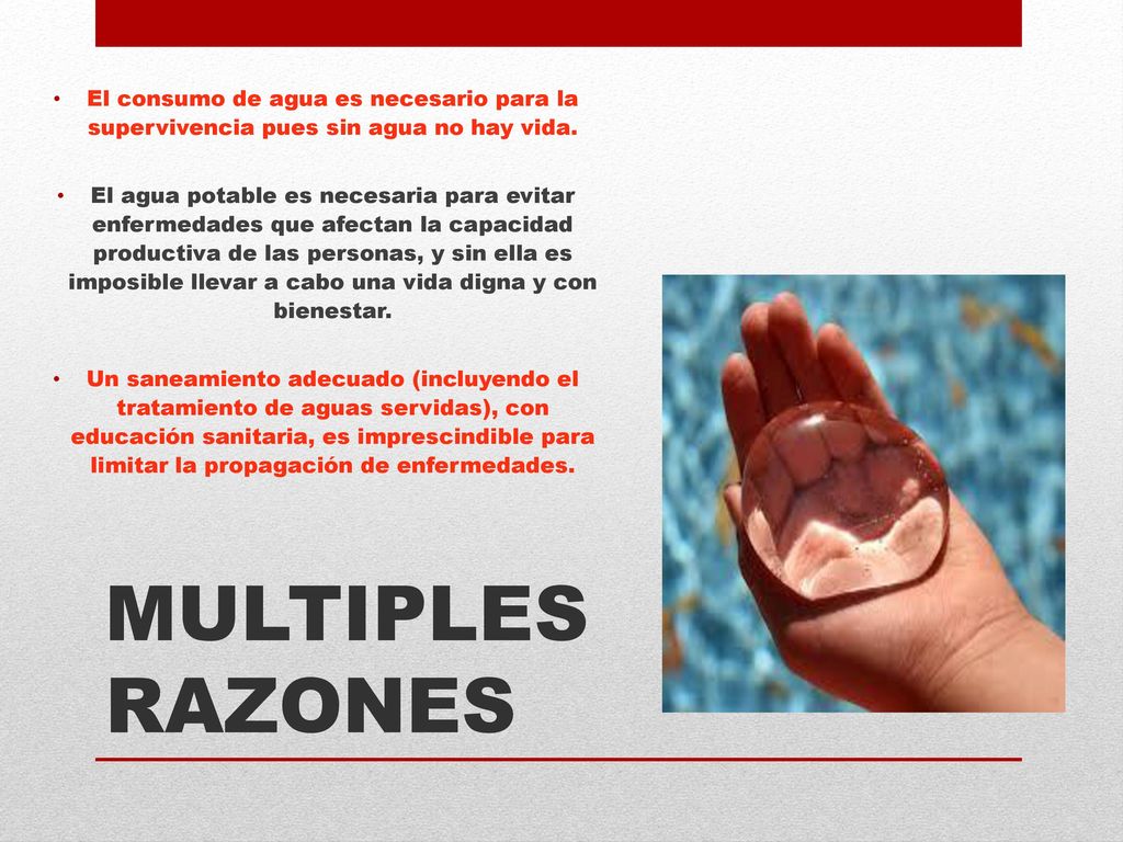 El consumo de agua es necesario para la supervivencia pues sin agua no hay vida.
