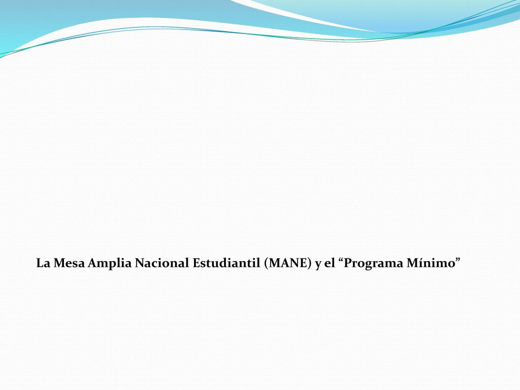 La Mesa Amplia Nacional Estudiantil (MANE) y el Programa Mínimo