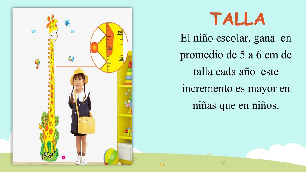 TALLA El niño escolar, gana en promedio de 5 a 6 cm de talla cada año este incremento es mayor en niñas que en niños.