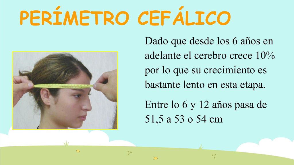 PERÍMETRO CEFÁLICO Dado que desde los 6 años en adelante el cerebro crece 10% por lo que su crecimiento es bastante lento en esta etapa.